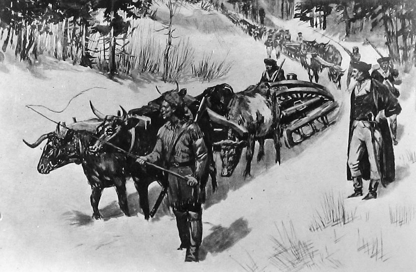 Hauling guns by ox-teams