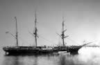 IMG_5548_s2a.jpg (63kb)
