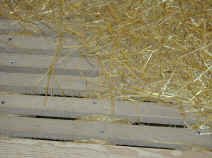 Threshing Floor