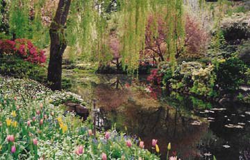 chinese lake image
