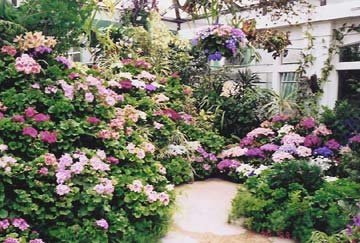 chinese gradens of flowers