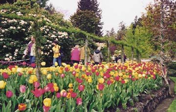 image of chinese flower garden