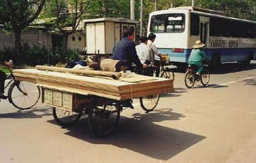 Bikes in China