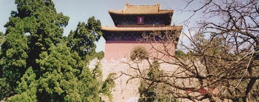 Summer Palace