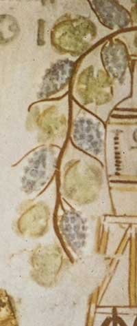 food processing in ancient egypt