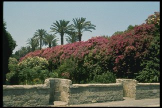 Imnages from Island of Rhodes