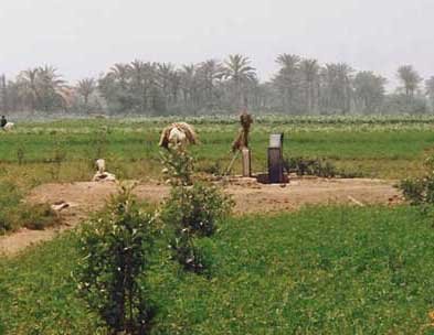 Egyptian countryside