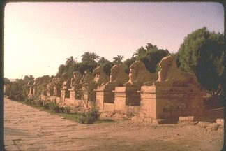 Sphinxes at Karnak
