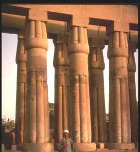 Lotus Column
