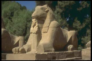 sphins at Temple of Amun