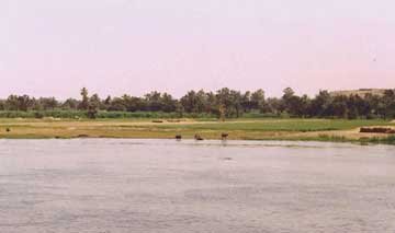 banks of nile river