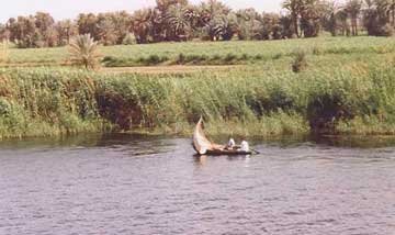 scenery from banks of nile river