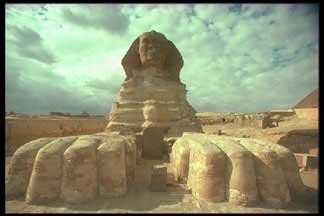 Front View Sphinx showing paws
