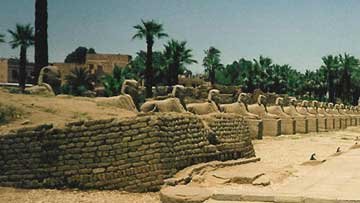 avanue of sphinxes