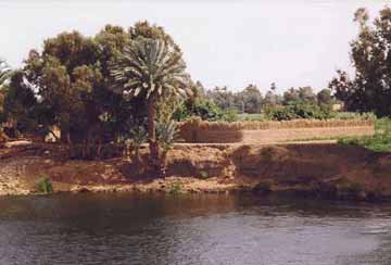 banks of nile river