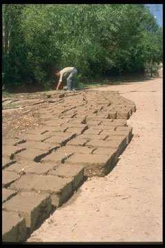 Drying Bricks