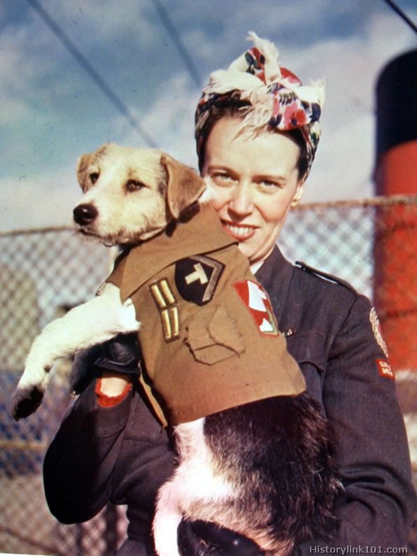 Royalty Free Pictures of World War II