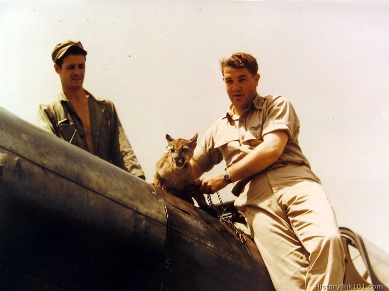 Royalty Free Pictures of World War II