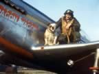 World War II Airforce Pictures