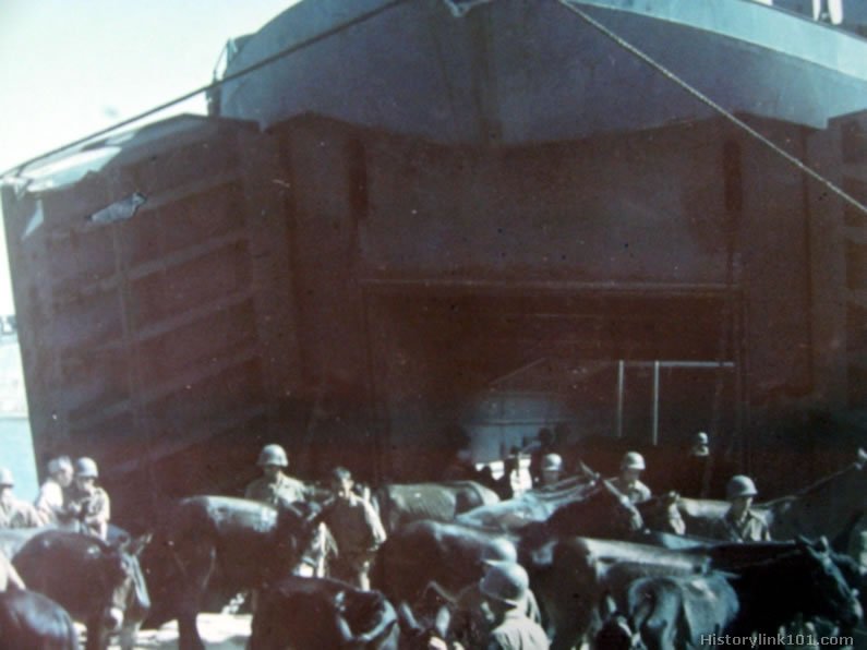 Royalty Free Pictures of World War II 
