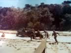 World War II Amphibious Units