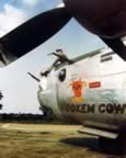 B-24-IMG_3939.jpg (70kb)
