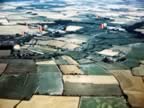 B-24-PICT1667.jpg (133kb)