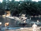 IMG_1840.jpg (94kb)