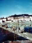 IMG_1916.jpg (76kb)