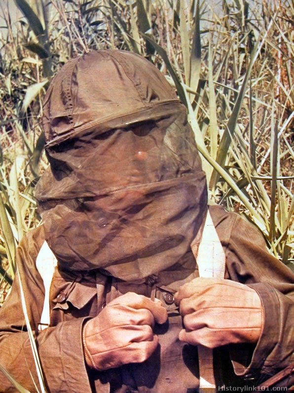 Royalty Free Pictures of World War II 