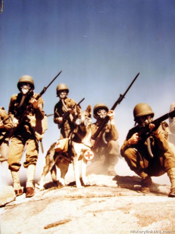 Royalty Free Pictures of World War II 