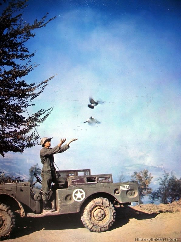 Royalty Free Picture of World War II