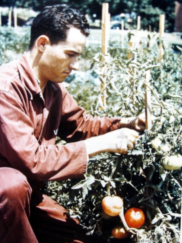 Royalty Free Pictures of World War II 