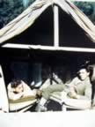 Color Pictures World War II