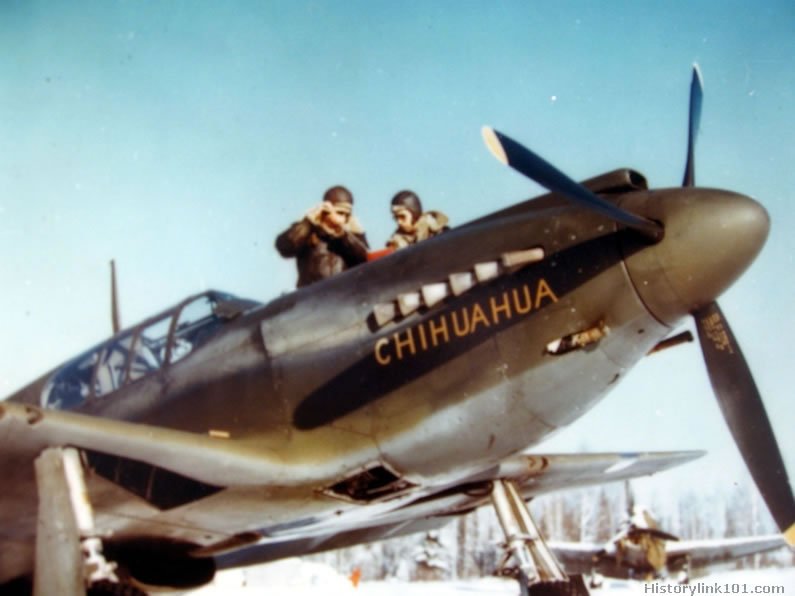 Royalty Free Pictures of P-51 