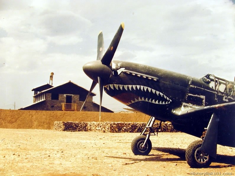 Royalty Free Pictures of P-51 