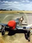 P-51 Figher Plane durning World War II
