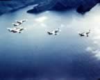 P-47-PICT0736.jpg (54kb)