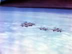 P-51-IMG_1115.jpg (73kb)