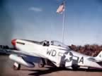P-51-PICT1540.jpg (76kb)
