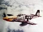 P-51-PICT1544.jpg (69kb)