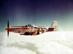 P-51-PICT1546.jpg (53kb)