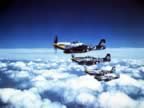 p-51-PICT0137.jpg (76kb)