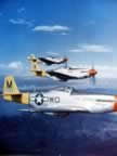 p-51-PICT1752.jpg (62kb)