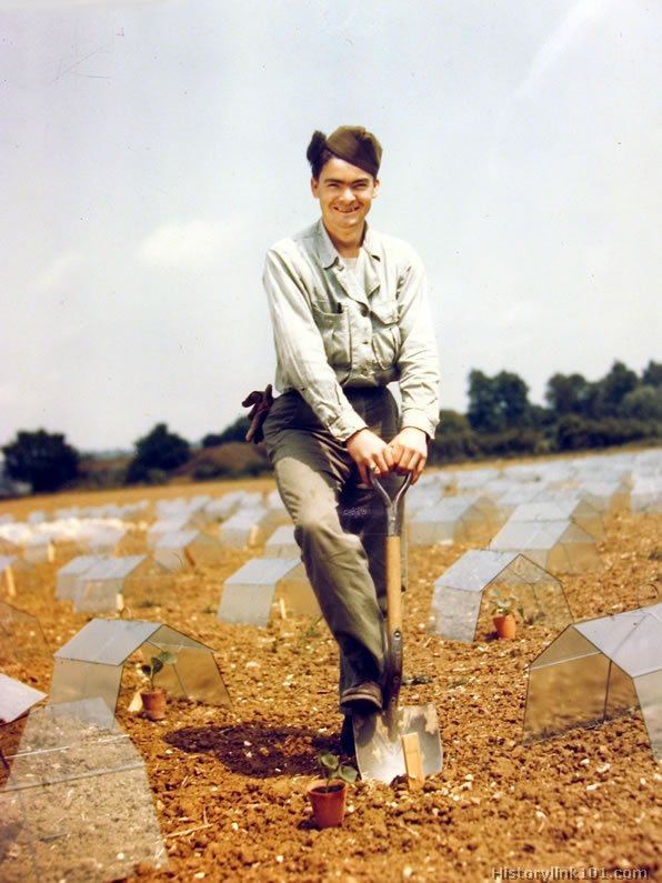 Royalty Free Pictures of World War II 