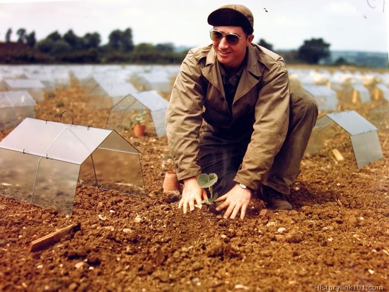 Royalty Free Pictures of World War II 