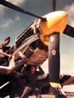 p-51-IMG_3817.jpg (94kb)