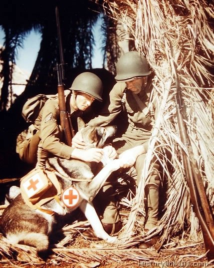 Royalty Free Pictures of World War II 