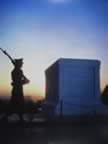 Memorial Pictures of World War II