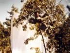 IMG_3326.jpg (121kb)